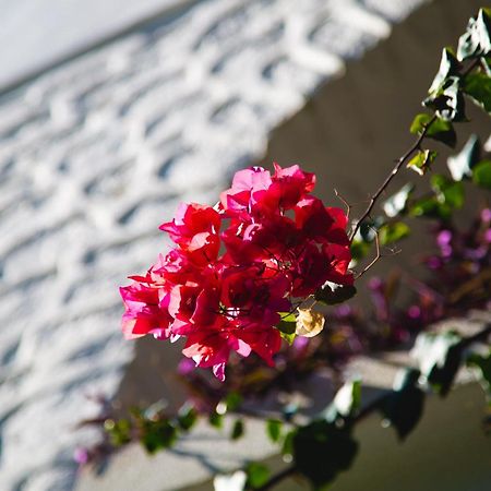 Hotel Karia Princess Бодрум Экстерьер фото