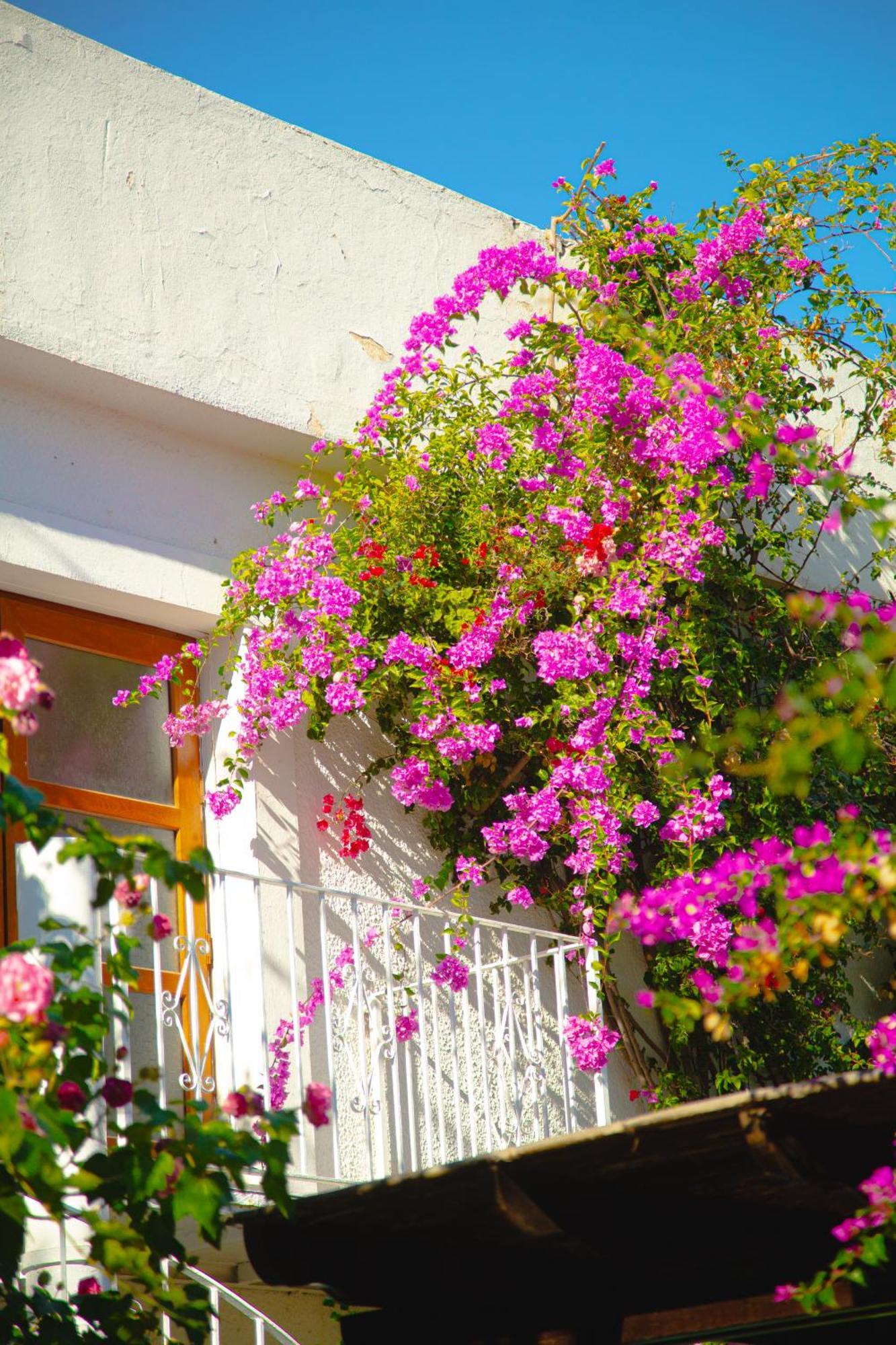 Hotel Karia Princess Бодрум Экстерьер фото